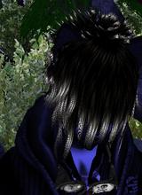 avpic