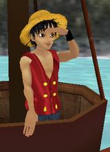 avpic