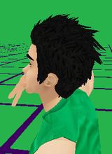avpic