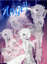 Angelicheals