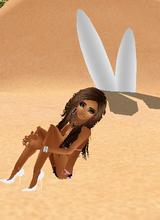 avpic