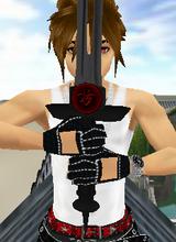 avpic