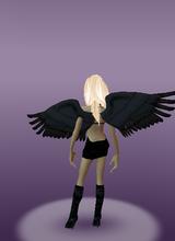 avpic