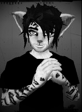 furryguy0