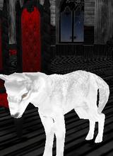 Guest_Breedia