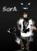 Guest_Soraiox