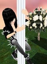 Avatar pic