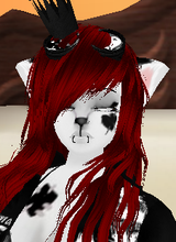 avpic