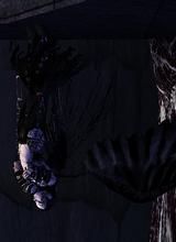 Guest_blackitout666