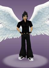 avpic
