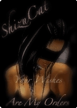 Guest_Shizucat
