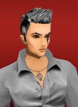avpic