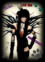 avpic
