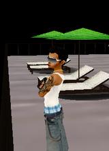 avpic
