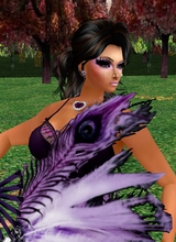 avpic