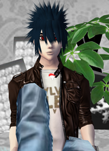 avpic