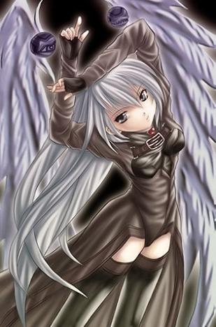 avpic