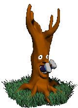 DaWhiteRasta