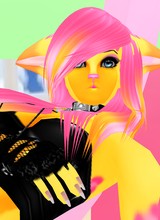 avpic