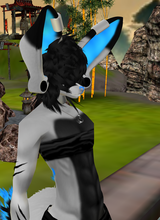 avpic