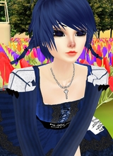 avpic