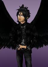 avpic