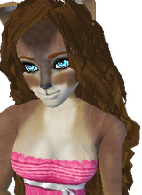 Guest_Amy41392