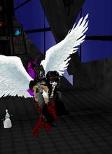 avpic
