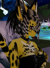avpic
