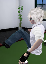 avpic