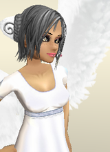 avpic