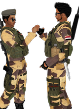 avpic