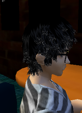 avpic