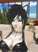 avpic