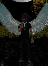 avpic