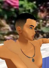 avpic