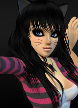 avpic