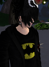 avpic