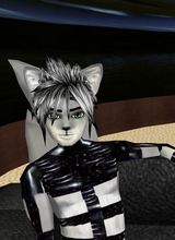 avpic