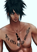 avpic