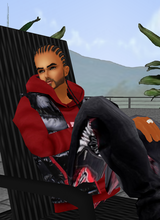 avpic