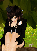 avpic