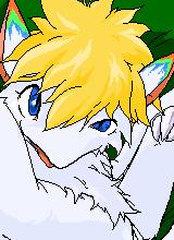 avpic