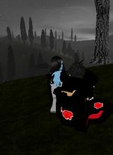 avpic