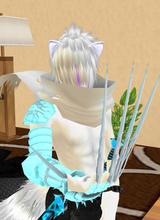 avpic