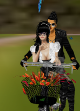 avpic