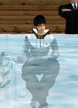 avpic