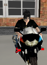 avpic