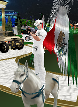 avpic