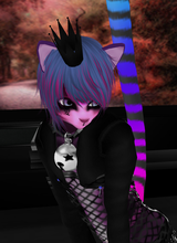 avpic